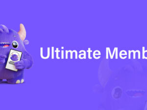 Ultimate Memberの日本語翻訳ファイル