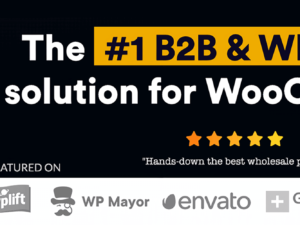 B2BKing Proの日本語翻訳ファイル